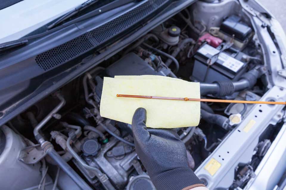 checking oil level in the car engine